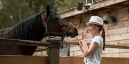 Reolink Duo 4G 2K Cift Lensli 4G LTE Kamera - 4